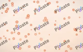 Peach Fuzz Blooms III — light orange and white floral background, variation III