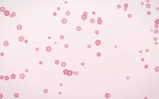 Rosewater Blooms — light pink and white floral background
