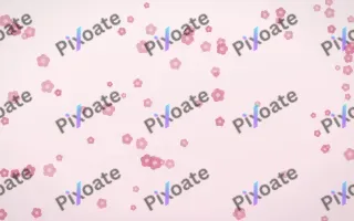 Rosewater Blooms — light pink and white floral background