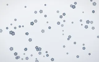 Slate Mist Blooms — light blue and white floral background