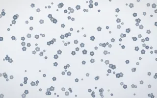 Slate Mist Blooms Dense — light blue and white floral background