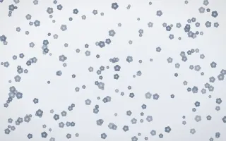 Slate Mist Blooms Dense II — light blue and white floral background, variation II