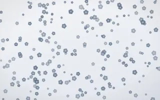 Slate Mist Blooms Dense III — light blue and white floral background, variation III