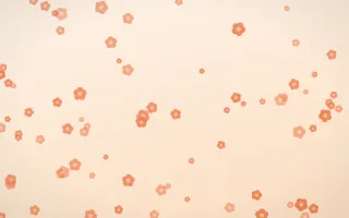 Sunset Pop Blooms — light orange and beige floral background