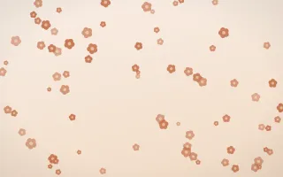 Terracotta Blooms — light orange and beige floral background