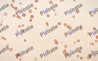 Terracotta Blooms — light orange and beige floral background