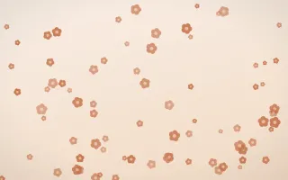 Terracotta Blooms III — light orange and beige floral background, variation III