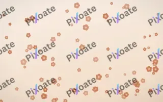 Terracotta Blooms III — light orange and beige floral background, variation III