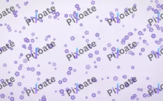 Wisteria Blooms Dense II — light purple and white floral background, variation II