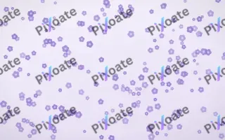 Wisteria Blooms Dense III — light purple and white floral background, variation III