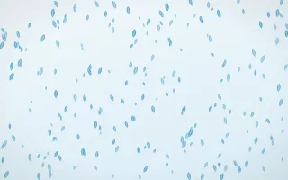 Arctic Frost Leaves Dense III — light blue and white floral background, variation III