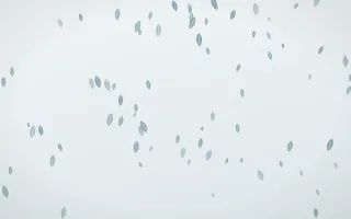 Coastal Fog Leaves — light blue and white floral background