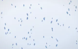 Denim Day Leaves II — light blue and white floral background, variation II