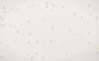 Fogline Leaves II — light grey, orange and white floral background, variation II