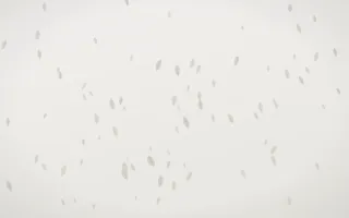 Fogline Leaves III — light grey, orange and white floral background, variation III