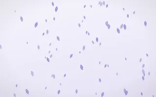 Lilac Frost Leaves — light blue and white floral background