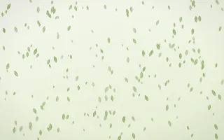 Matcha Latte Leaves Dense — light green and white floral background