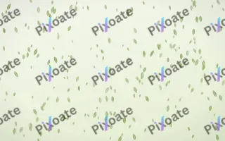 Matcha Latte Leaves Dense — light green and white floral background