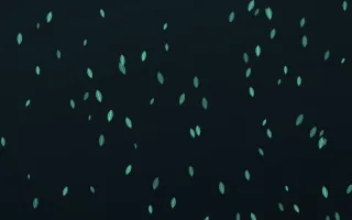 Midnight Garden Leaves — dark green and black floral background