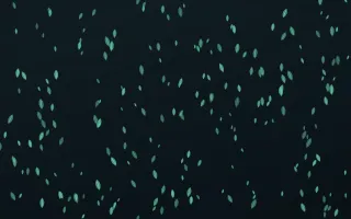 Midnight Garden Leaves Dense — dark green and black floral background