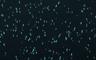 Midnight Garden Leaves Dense II — dark green and black floral background, variation II