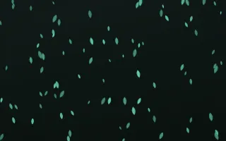 Mint Noir Leaves — dark green and black floral background