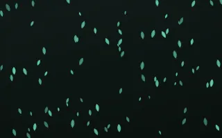 Mint Noir Leaves II — dark green and black floral background, variation II