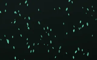 Mint Noir Leaves III — dark green and black floral background, variation III