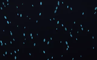 Neonline Leaves III — dark teal, pink and black floral background, variation III