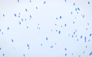 Sky Leaves III — light blue and white floral background, variation III