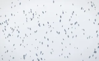 Slate Mist Leaves Dense — light blue and white floral background