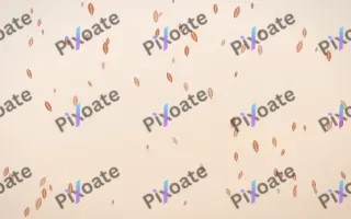 Terracotta Leaves — light orange and beige floral background
