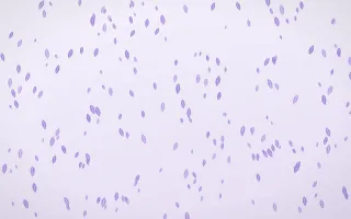 Wisteria Leaves Dense — light purple and white floral background