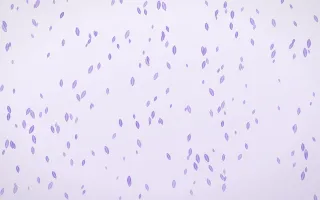 Wisteria Leaves Dense II — light purple and white floral background, variation II