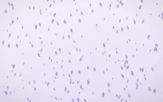 Wisteria Leaves Dense III — light purple and white floral background, variation III