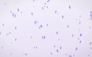 Wisteria Leaves II — light purple and white floral background, variation II
