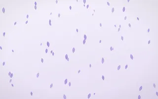 Wisteria Leaves III — light purple and white floral background, variation III