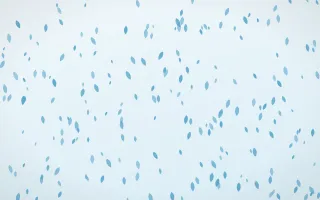 Arctic Frost Petals Dense II — light blue and white floral background, variation II