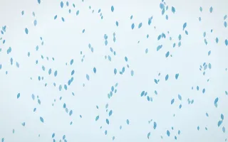 Arctic Frost Petals Dense III — light blue and white floral background, variation III