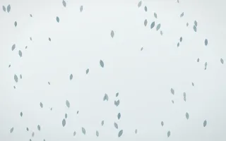 Coastal Fog Petals — light blue and white floral background