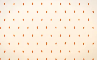 Coral Petals — light orange and white floral background