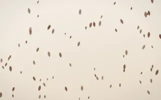 Espresso Petals II — light brown, orange and beige floral background, variation II