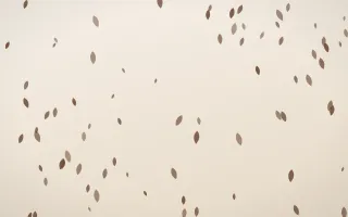 Espresso Petals III — light brown, orange and beige floral background, variation III