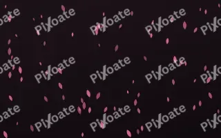 Flamingo Noir Petals — dark pink and black floral background