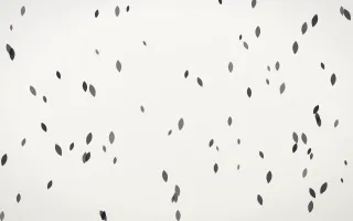 Inkline Petals — light grey and white floral background