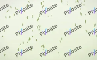 Matcha Latte Petals II — light green and white floral background, variation II