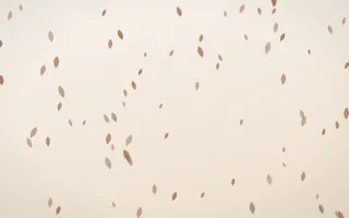 Mocha Milk Petals — light orange and white floral background