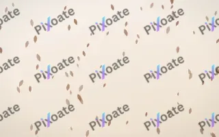 Mocha Milk Petals — light orange and white floral background