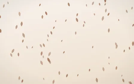 Mocha Milk Petals — light orange and white floral background