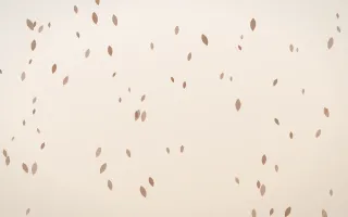 Mocha Milk Petals III — light orange and white floral background, variation III